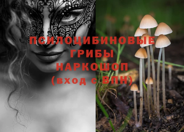 индика Алексеевка